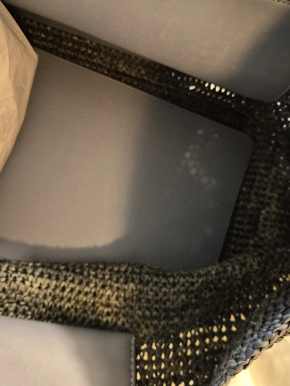Proenza Schouler Blue Leather-Trim Woven Tote